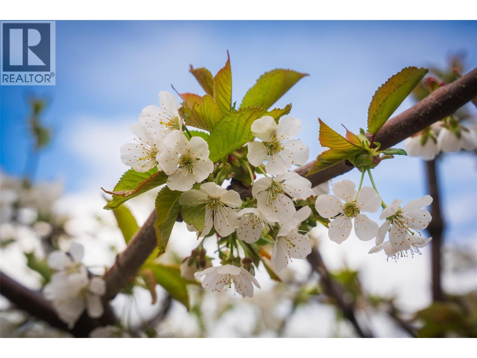  205 Merlin Court, Kelowna