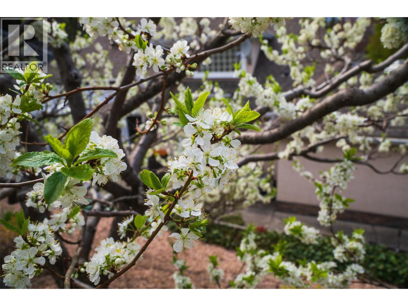  205 Merlin Court, Kelowna