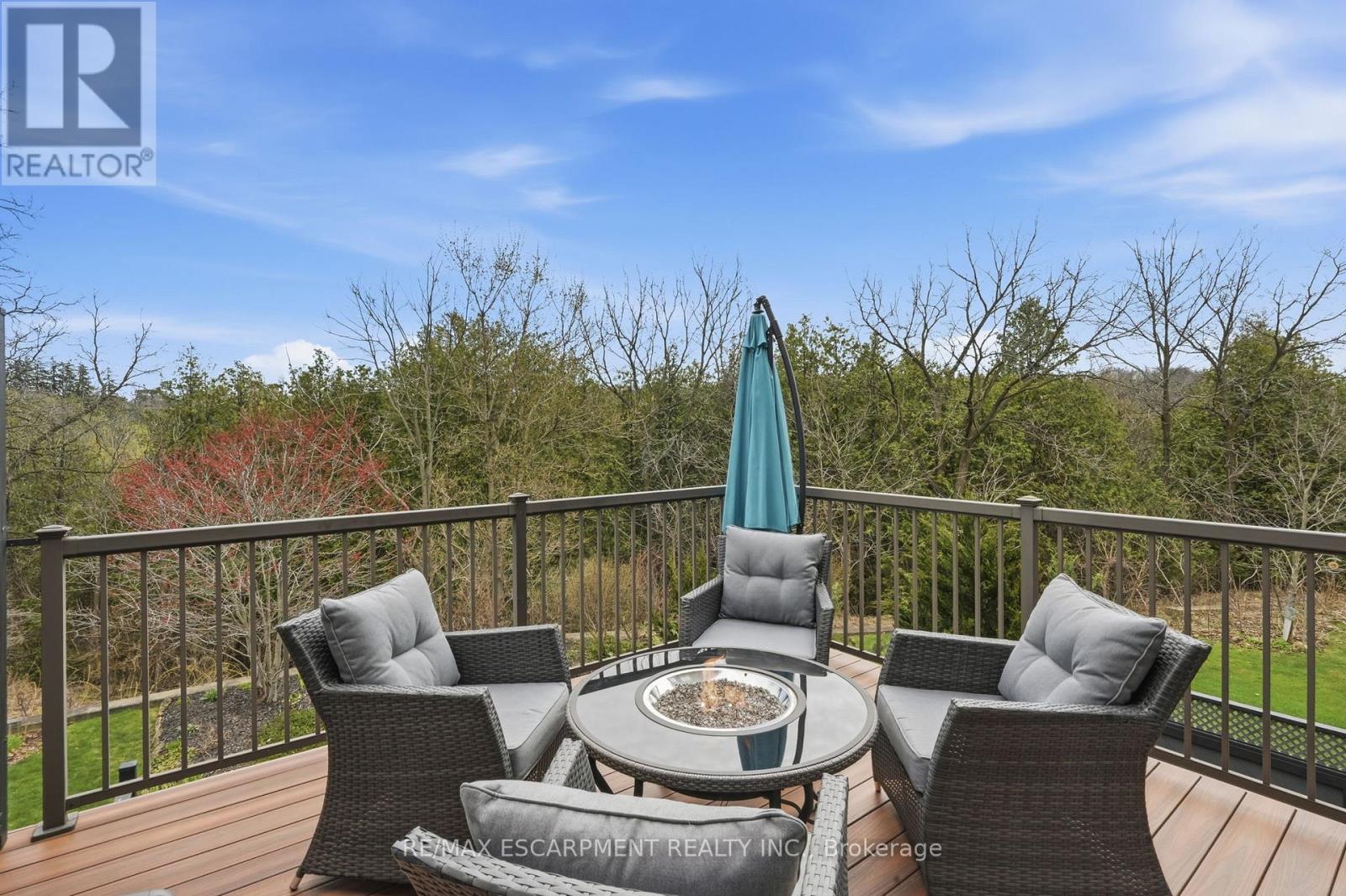 253 MILLVIEW COURT - 17