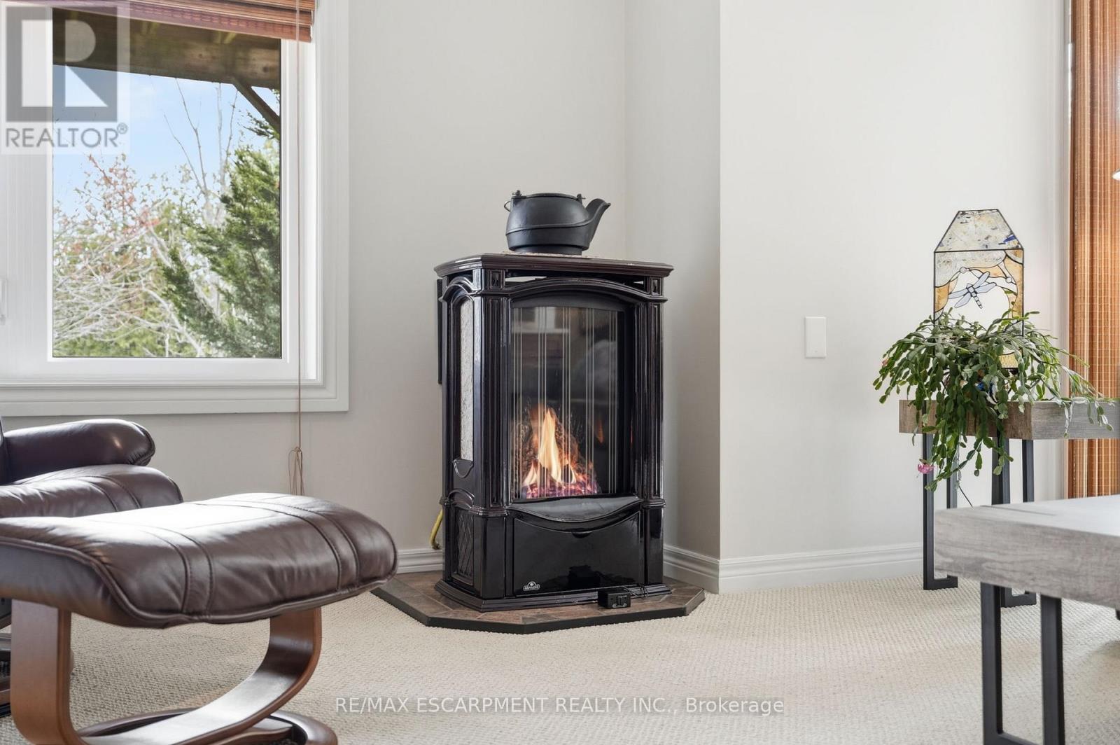 253 MILLVIEW COURT - 39