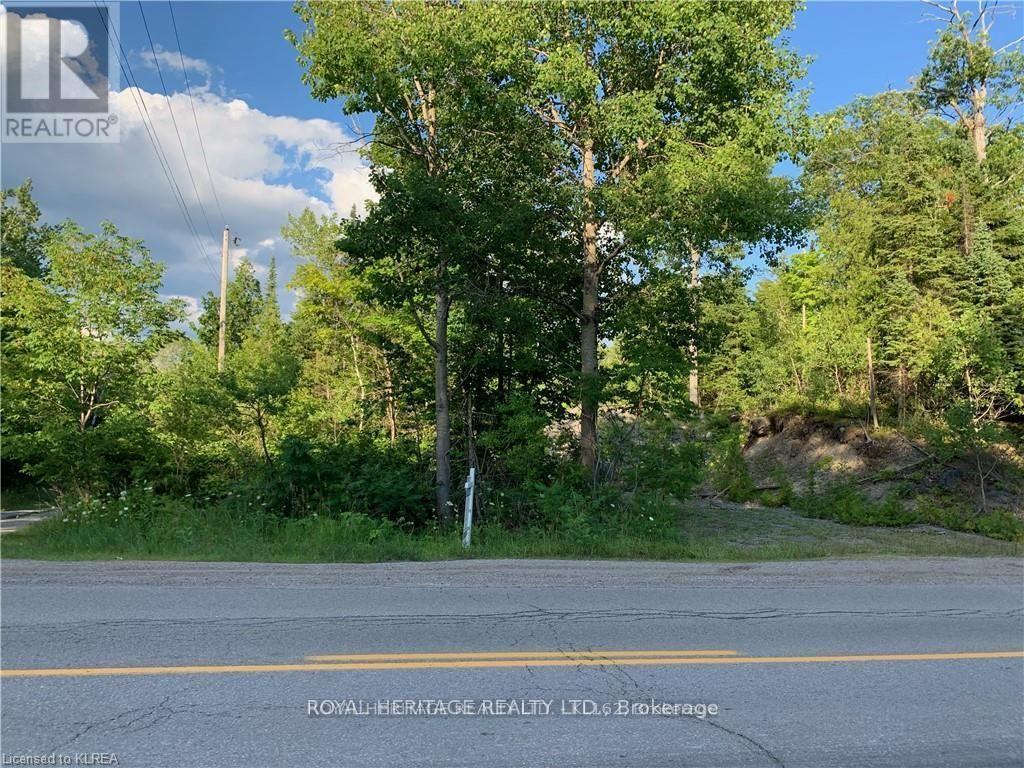 0 PT LT 32 COUNTY ROAD 49 ROAD — photo 2