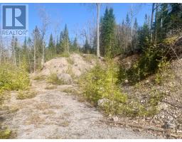 0 Pt Lt 32 County Road 49 Road, Trent Lakes, ON K0M1A0 Photo 6
