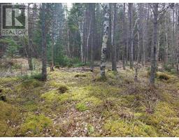 Lot 1g Marble Mountain Rd, Malagawatch, NS B0E2Y0 Photo 12