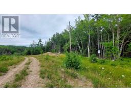 Lot 1g Marble Mountain Rd, Malagawatch, NS B0E2Y0 Photo 9