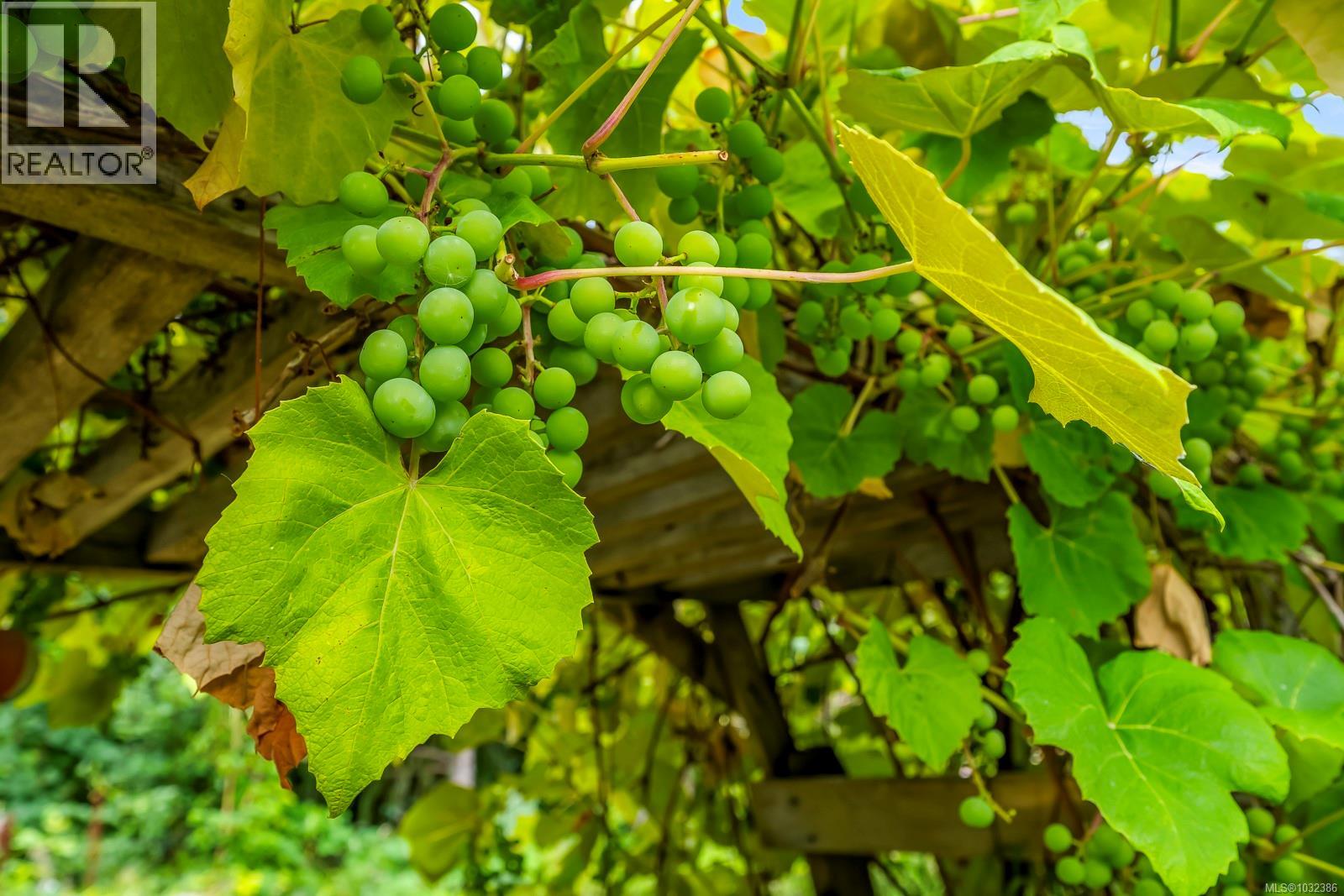 481 OLMSTEAD RD - 36