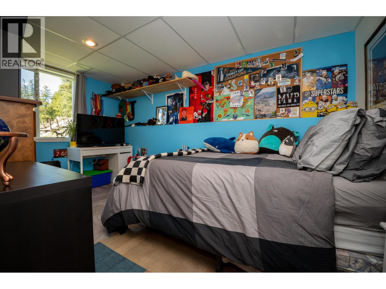 747 CHIMNEY VALLEY ROAD - 18