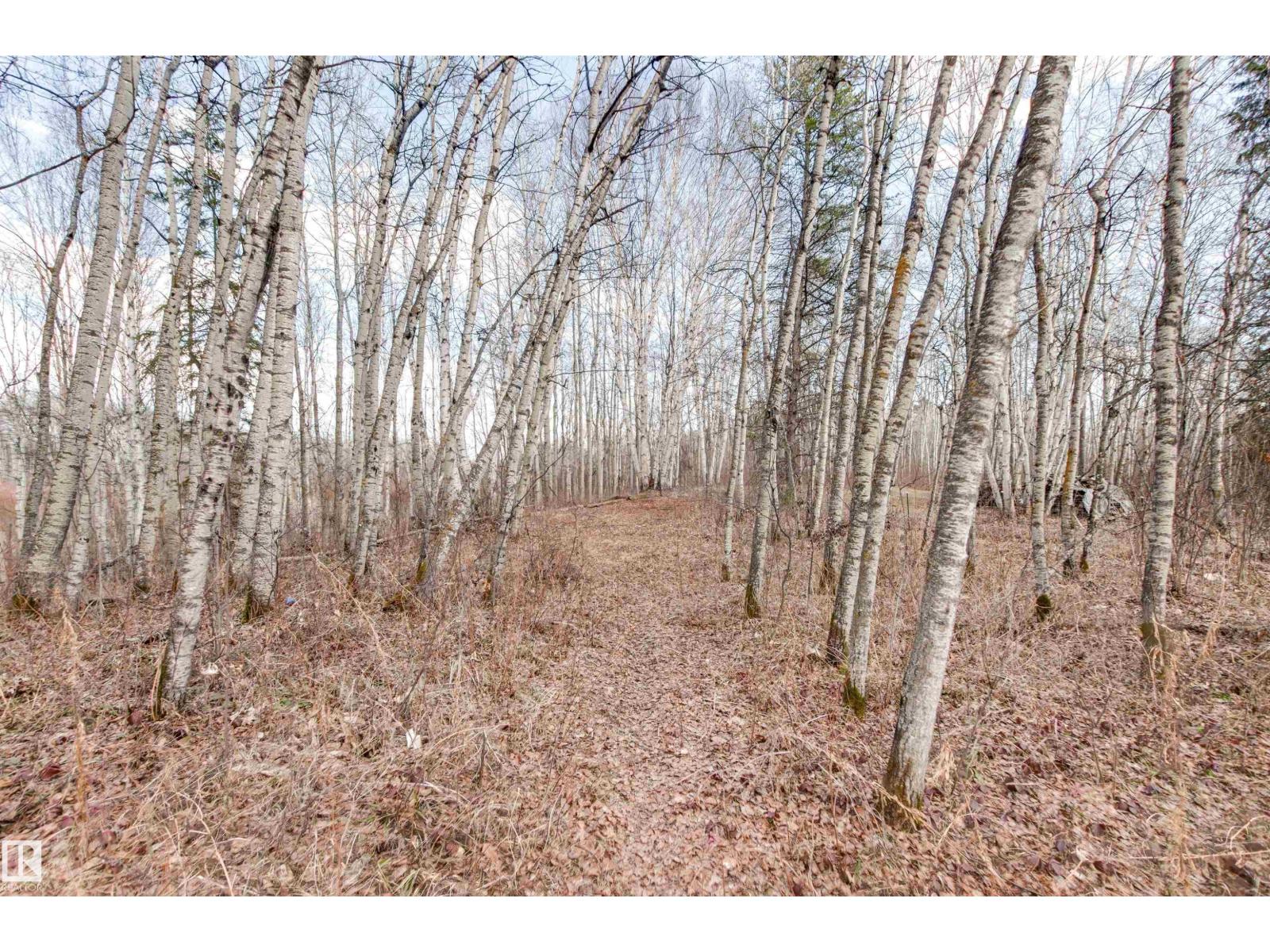 #9 26516 TWP ROAD 514, Rural Parkland County