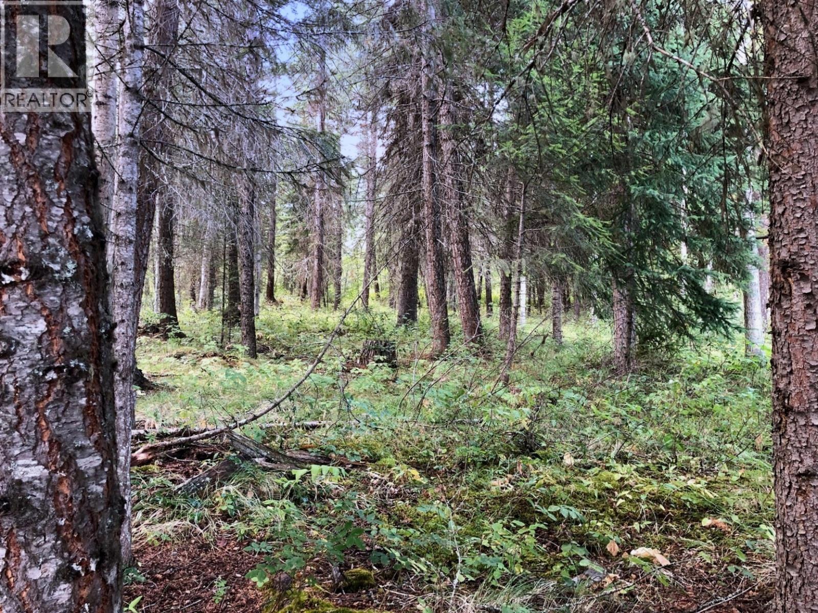 2405 STARLIKE LAKE ROAD - 28