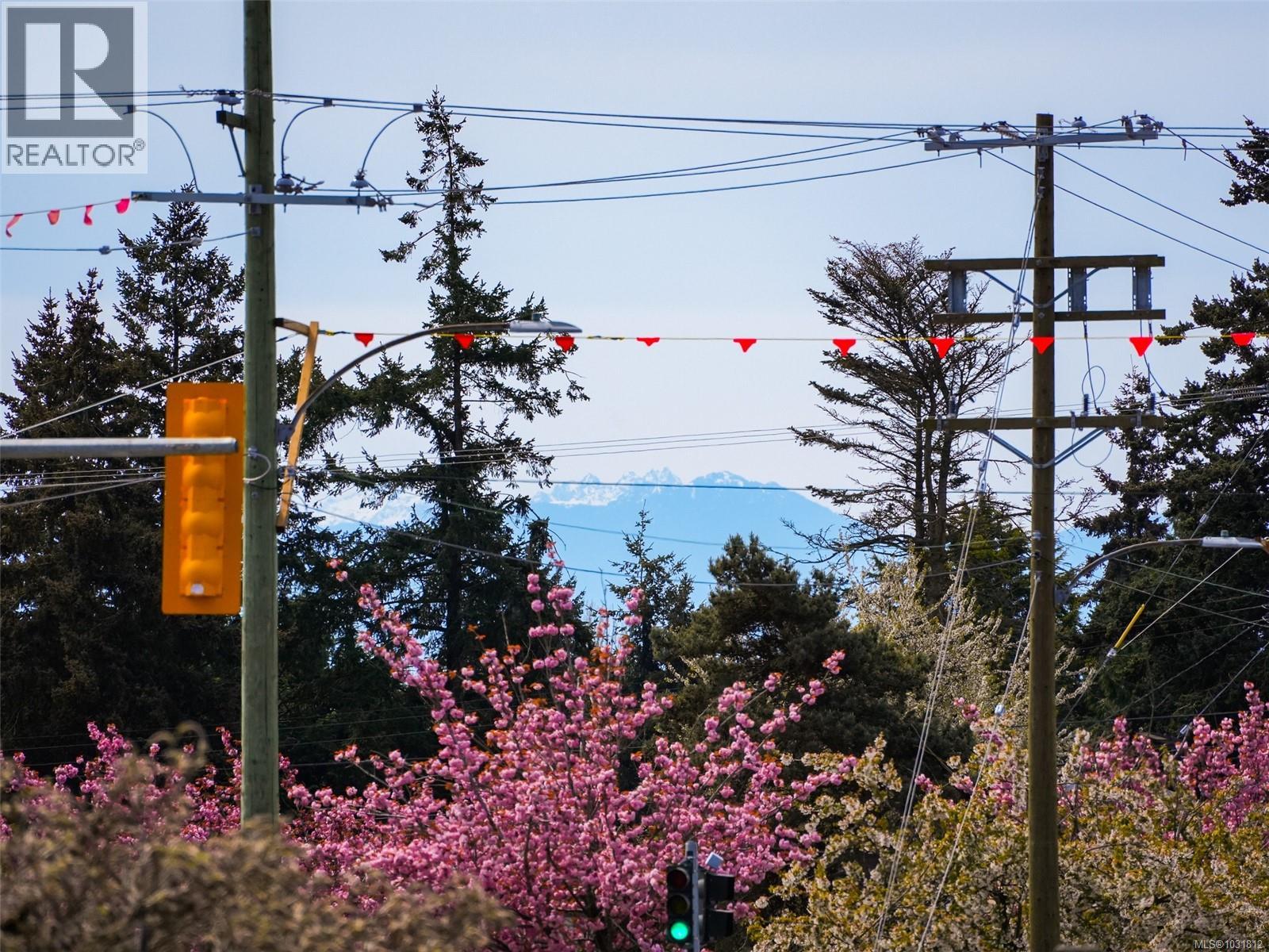 5 3968 Cedar Hill Road, Saanich