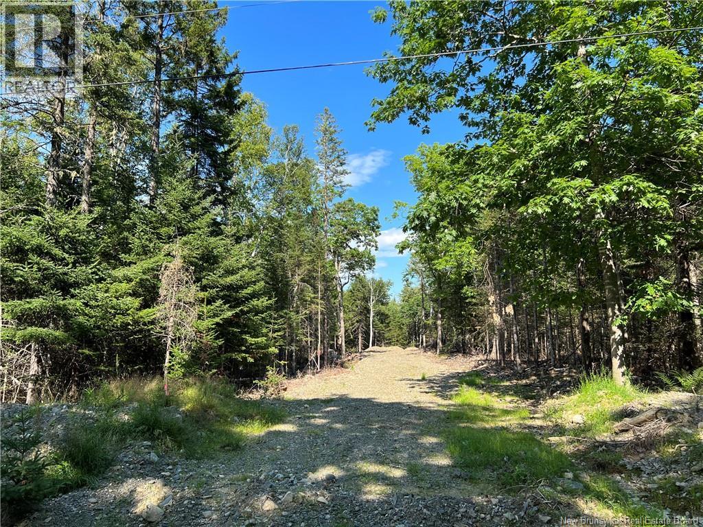 Hills Point Road, Oak Bay — photo 2