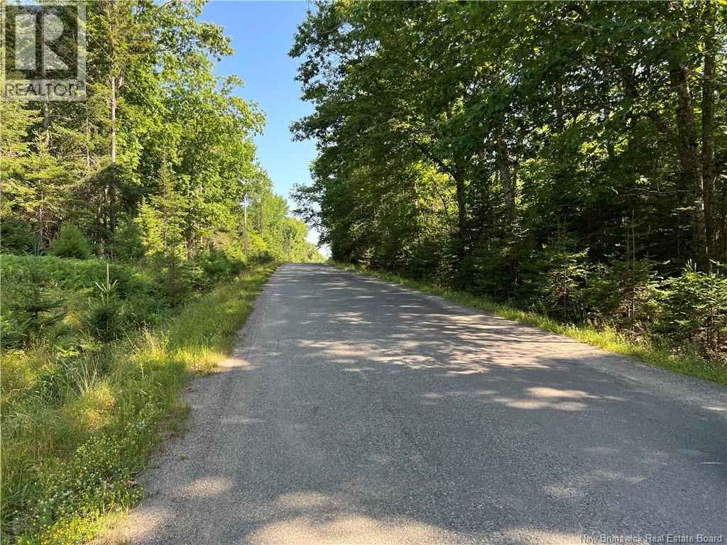 Hills Point Road, Oak Bay — photo 3