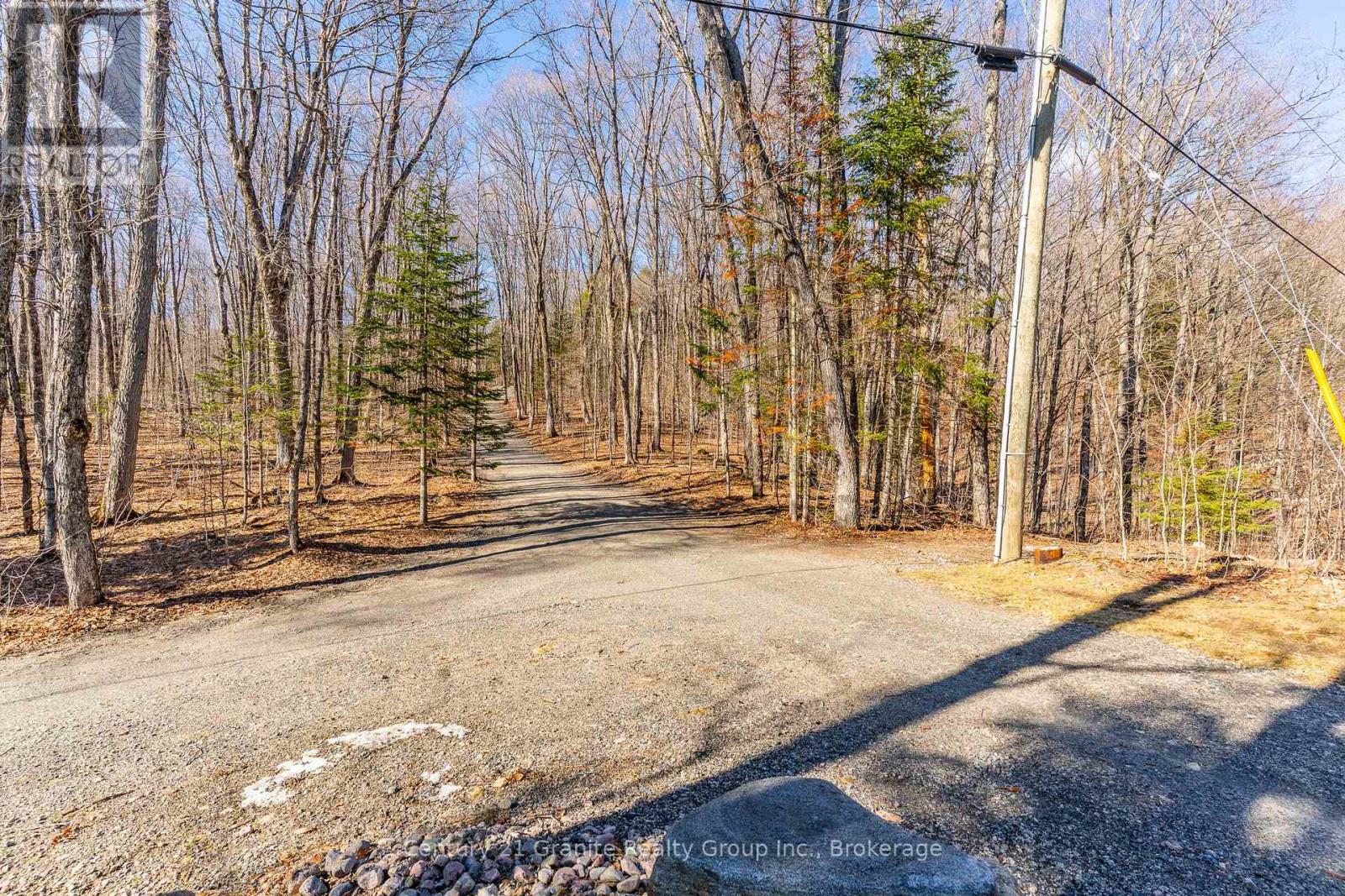 Pure privacy!!!  Well forested acreage.