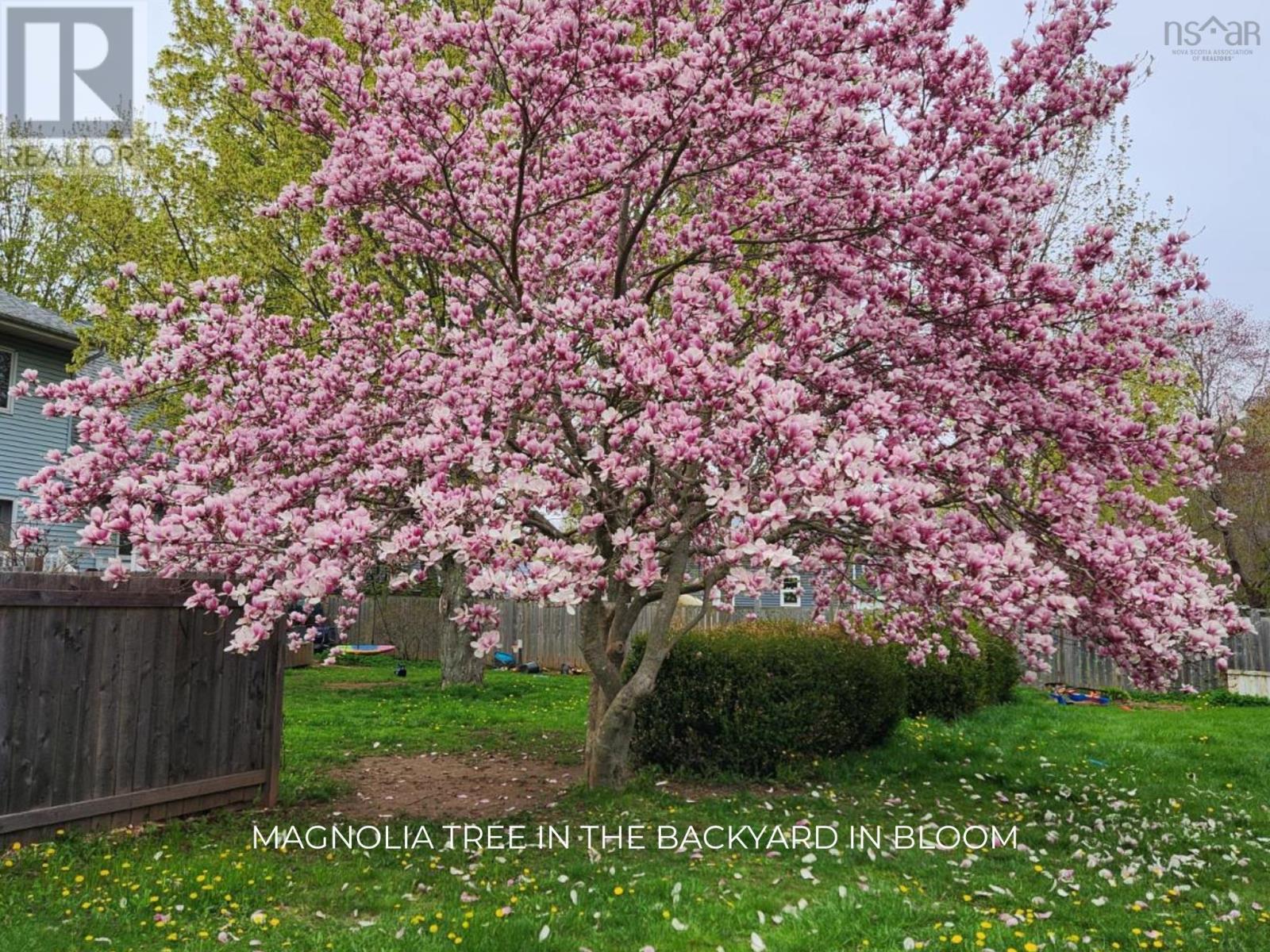 Property 44 of 50 of 752 Main Street