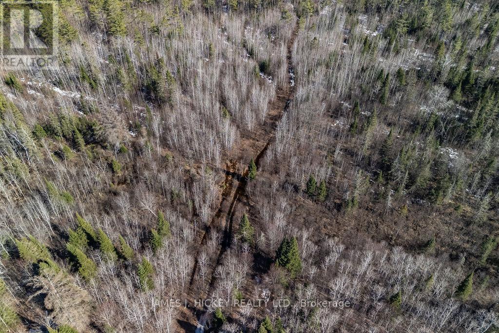 38589 HWY 17 HIGHWAY — photo 22