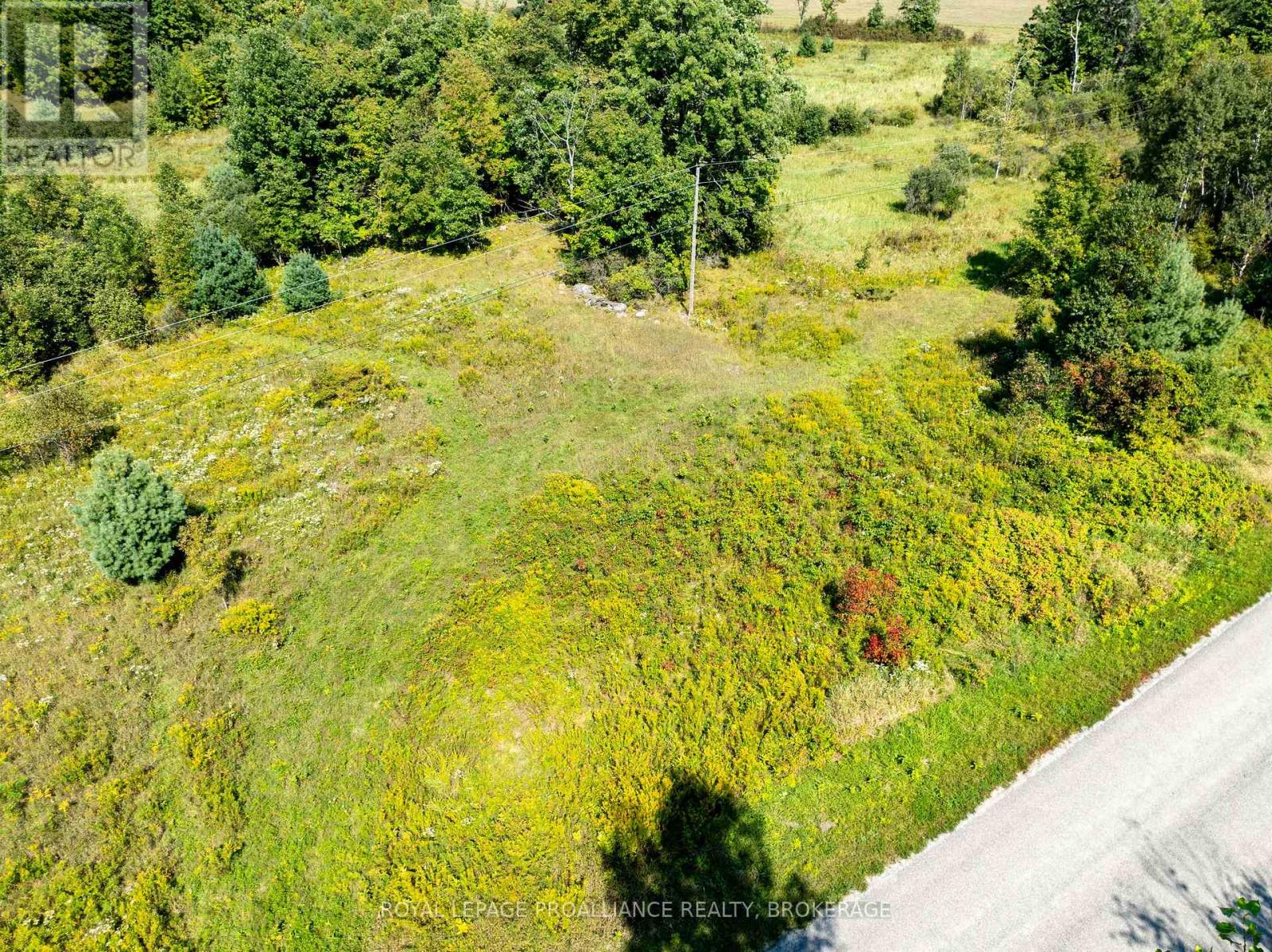 268 CROZIER ROAD — photo 11