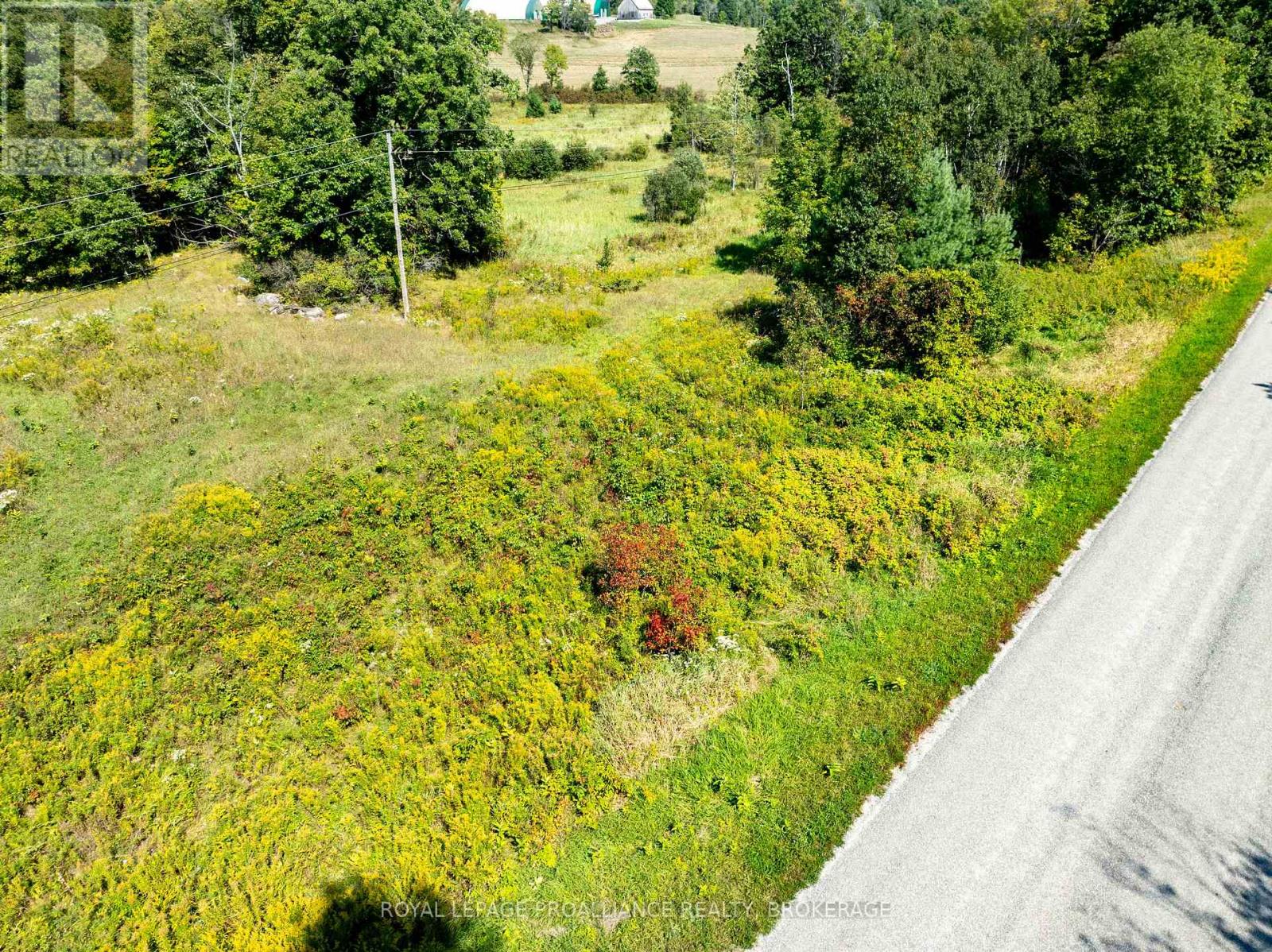 268 CROZIER ROAD — photo 10