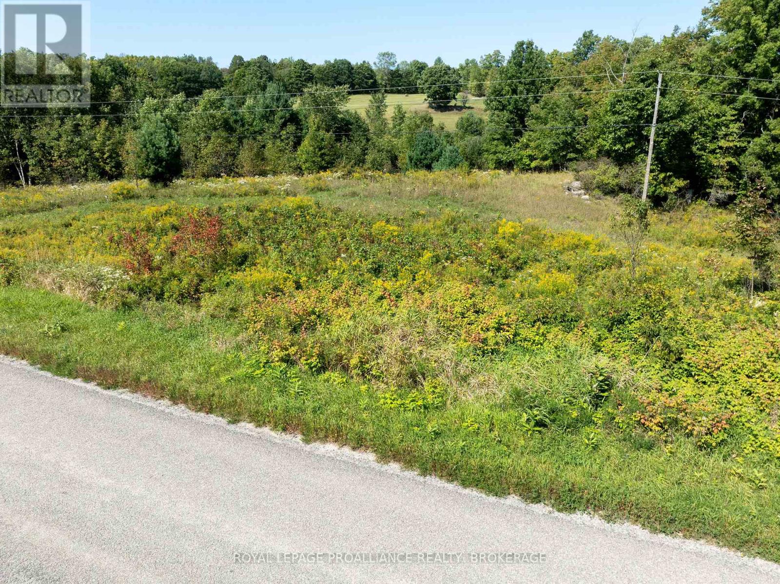 268 CROZIER ROAD — photo 8