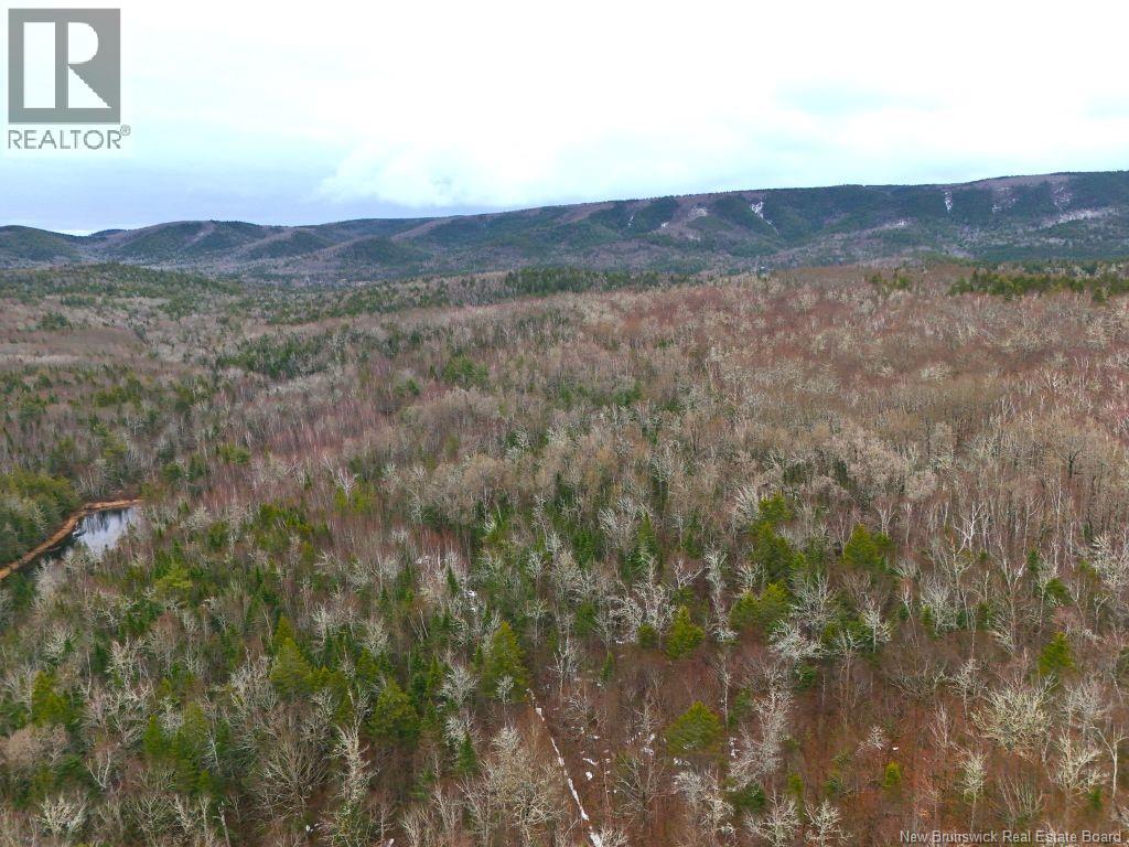 Lot Shaw Road — photo 2