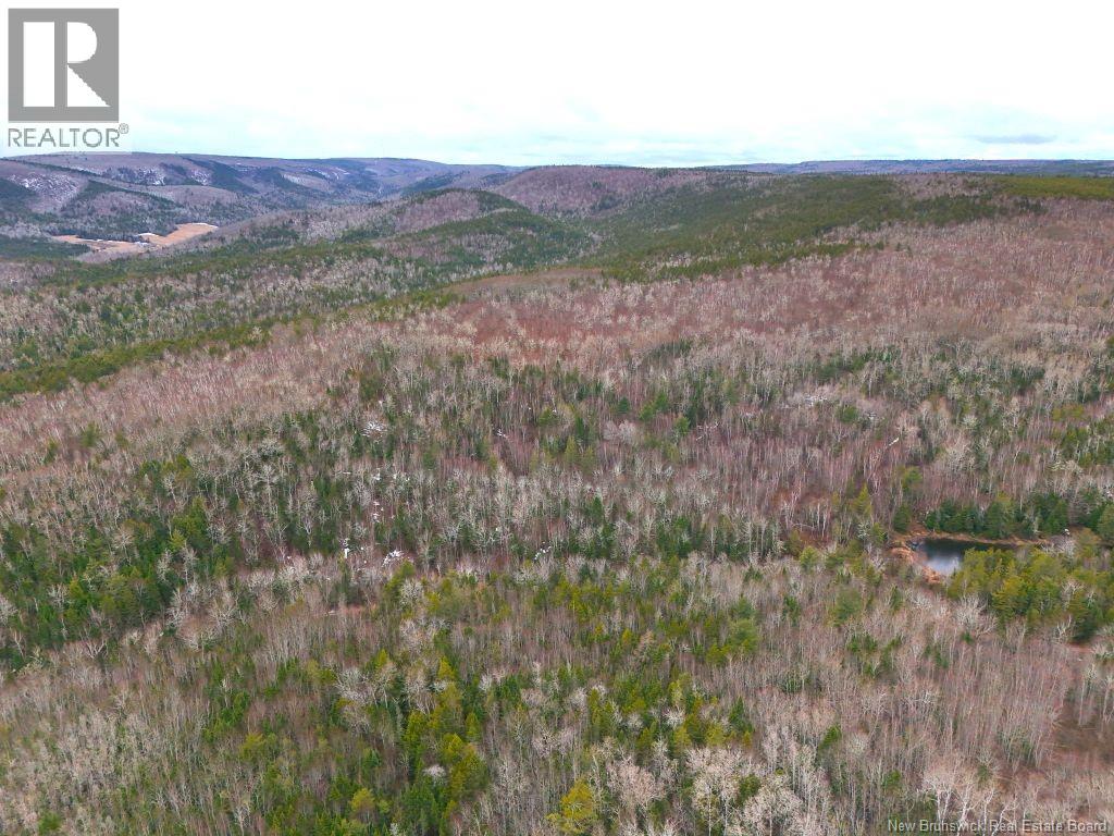 Lot Shaw Road — photo 3