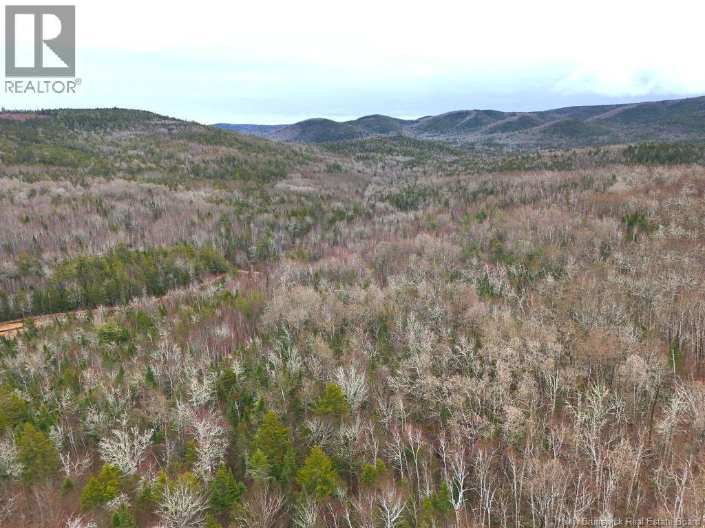 Lot Shaw Road — photo 8