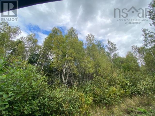 Lot 104 Highway — photo 3