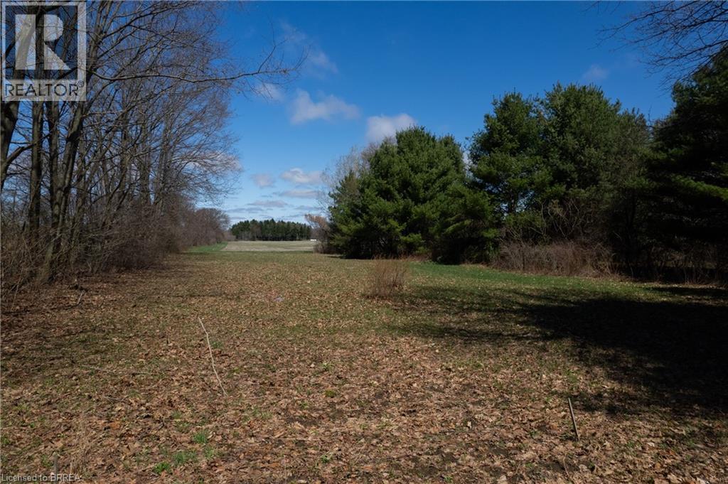 Expansive open field bordered by a mix of mature deciduous and evergreen trees, with a distant treeline framing the horizon