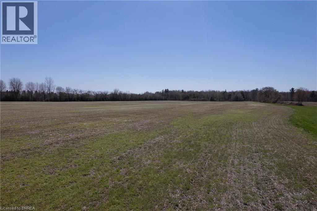 Expansive open field with partial green ground cover and a treeline bordering the horizon