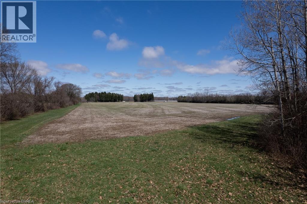 Expansive open field with partial grass coverage, surrounded by a perimeter of deciduous trees, and a distant evergreen tree line