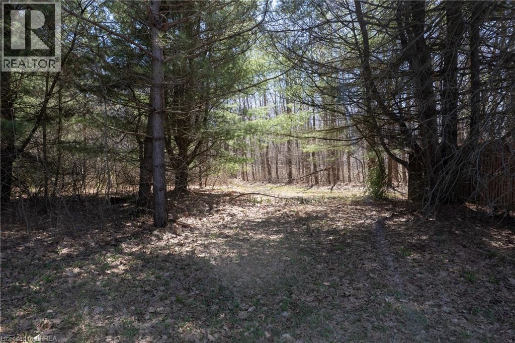 Wooded acreage featuring mature pine and deciduous trees