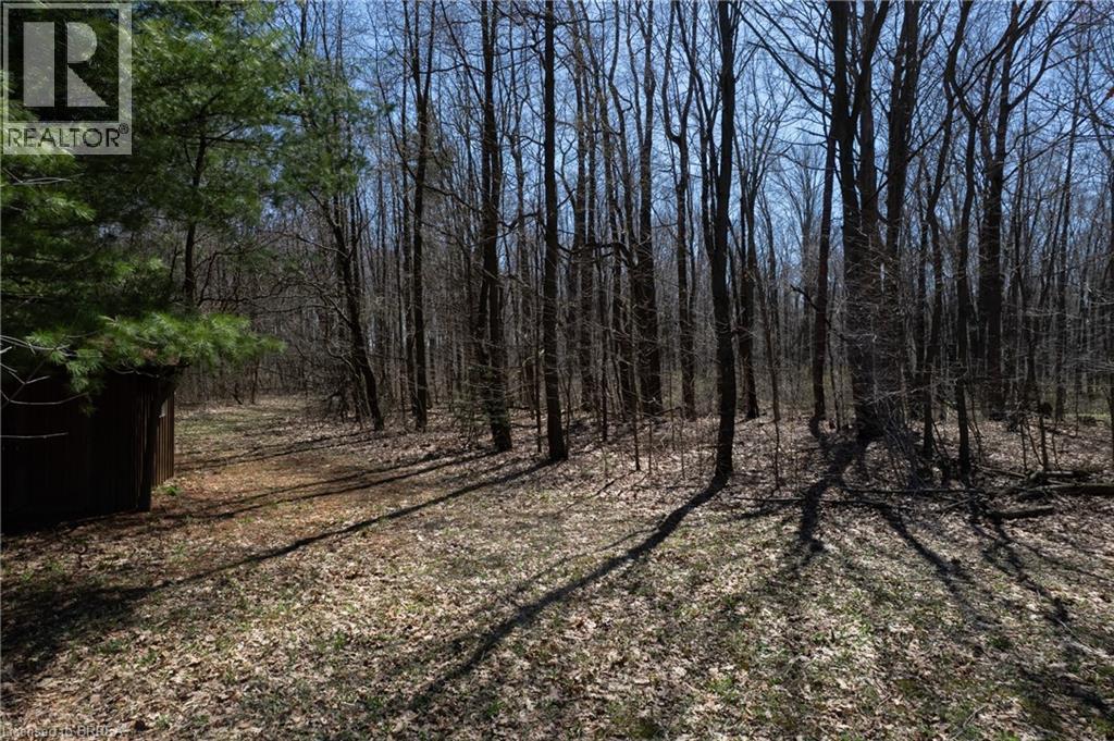 Wooded acreage featuring mature deciduous and evergreen trees, a natural ground covering of leaves and sparse grass, and a rustic storage shed