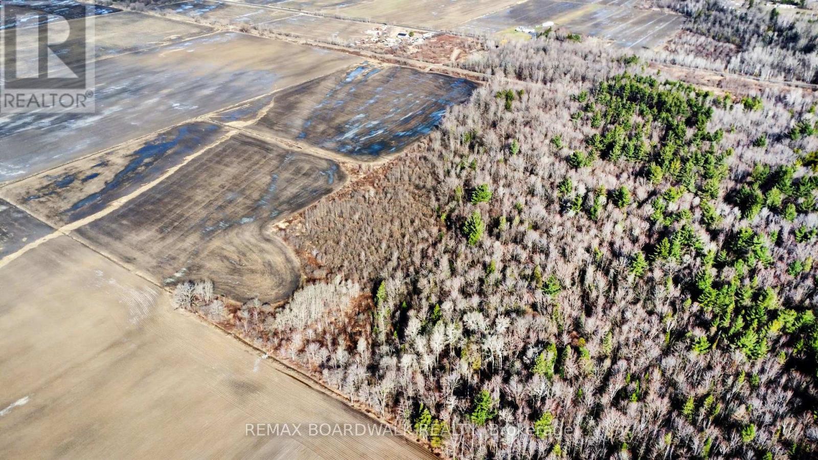 2364 CONCESSION 9 ROAD — photo 15