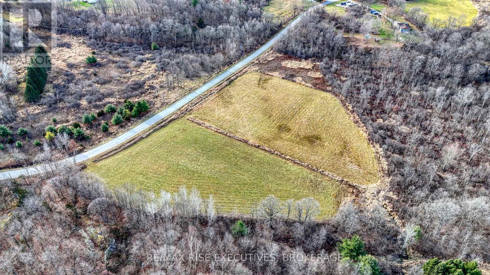 260 BRIAR HILL ROAD — photo 5