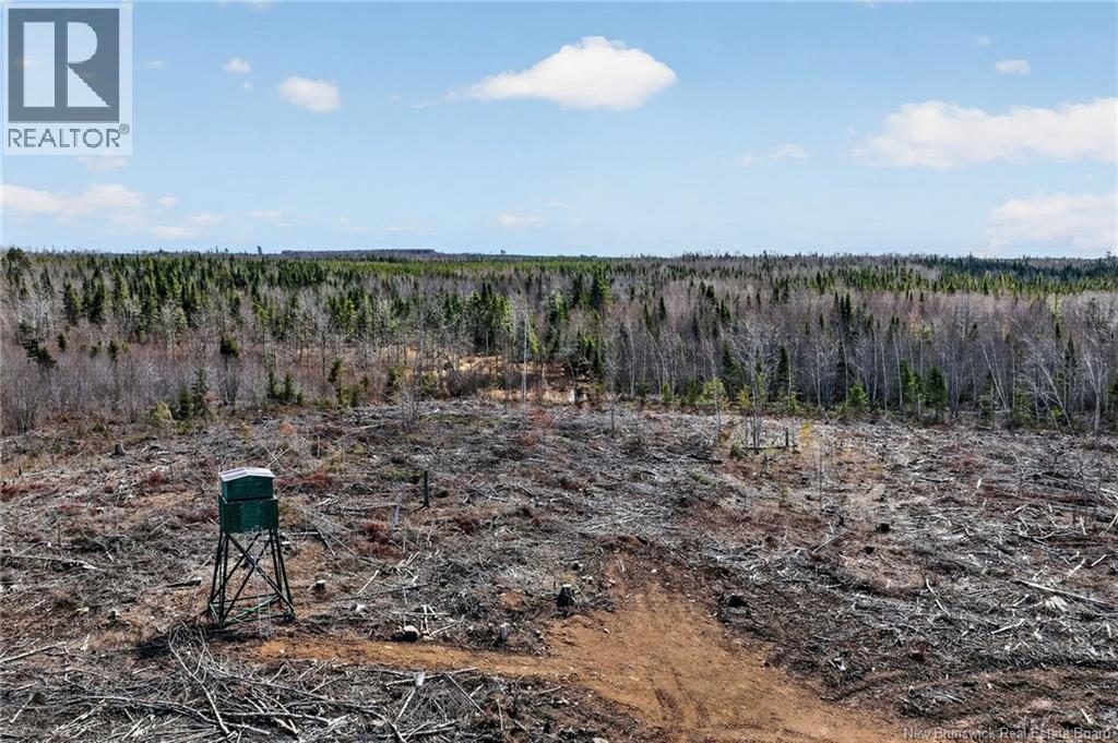 Hunting Blind on property
