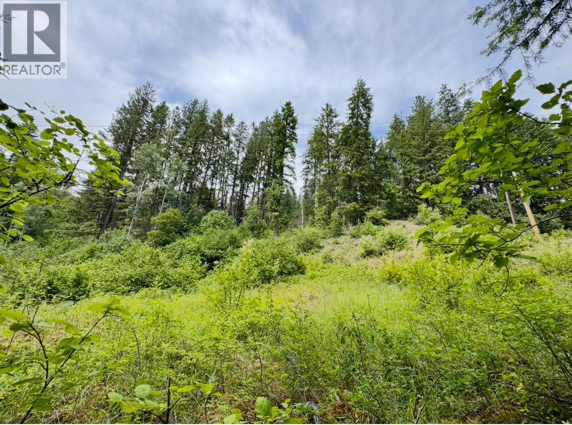 Corra Linn Road Lot# 41 & 41A — photo 11