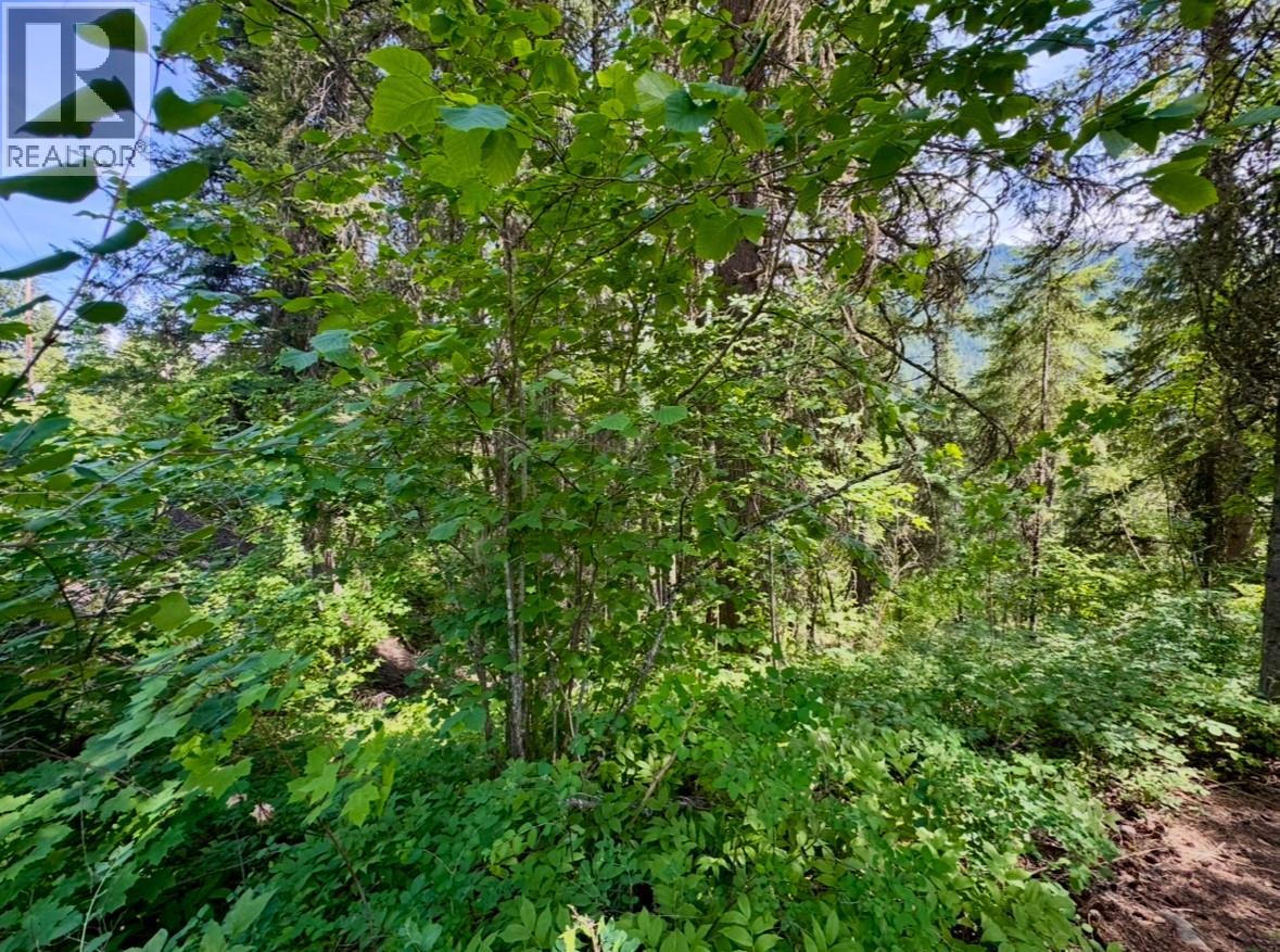 Corra Linn Road Lot# 41 & 41A — photo 21