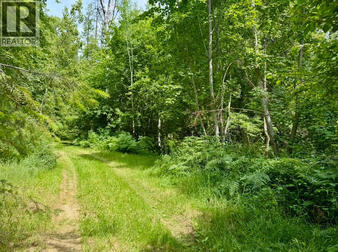 Corra Linn Road Lot# 41 & 41A — photo 13