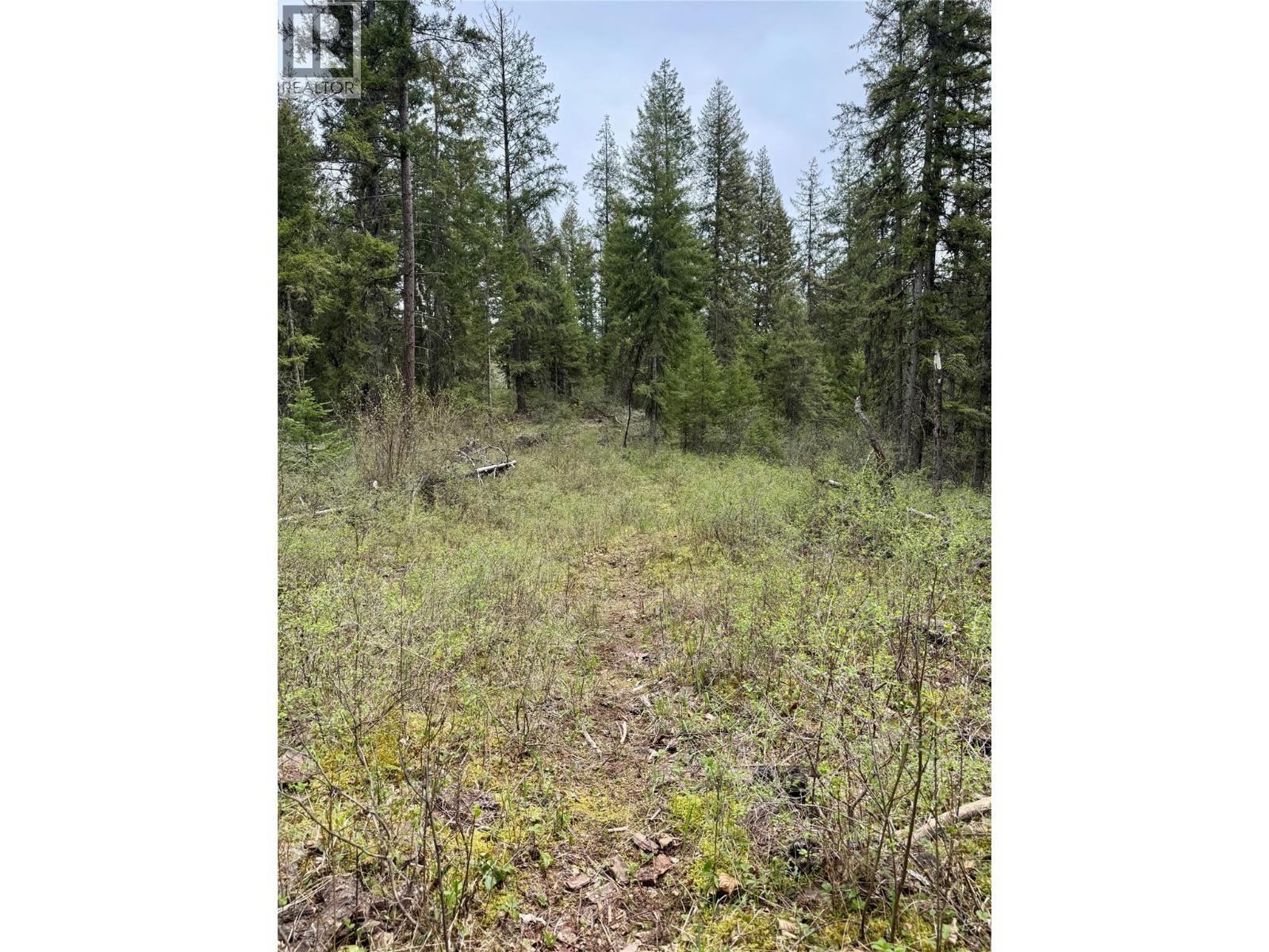 Corra Linn Road Lot# 41 & 41A — photo 32