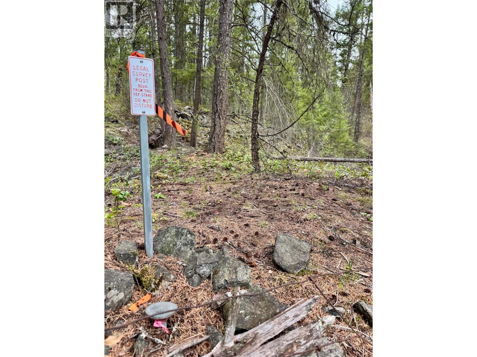 Corra Linn Road Lot# 41 & 41A — photo 31