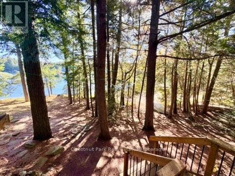 Well treed gorgeous natural point lot