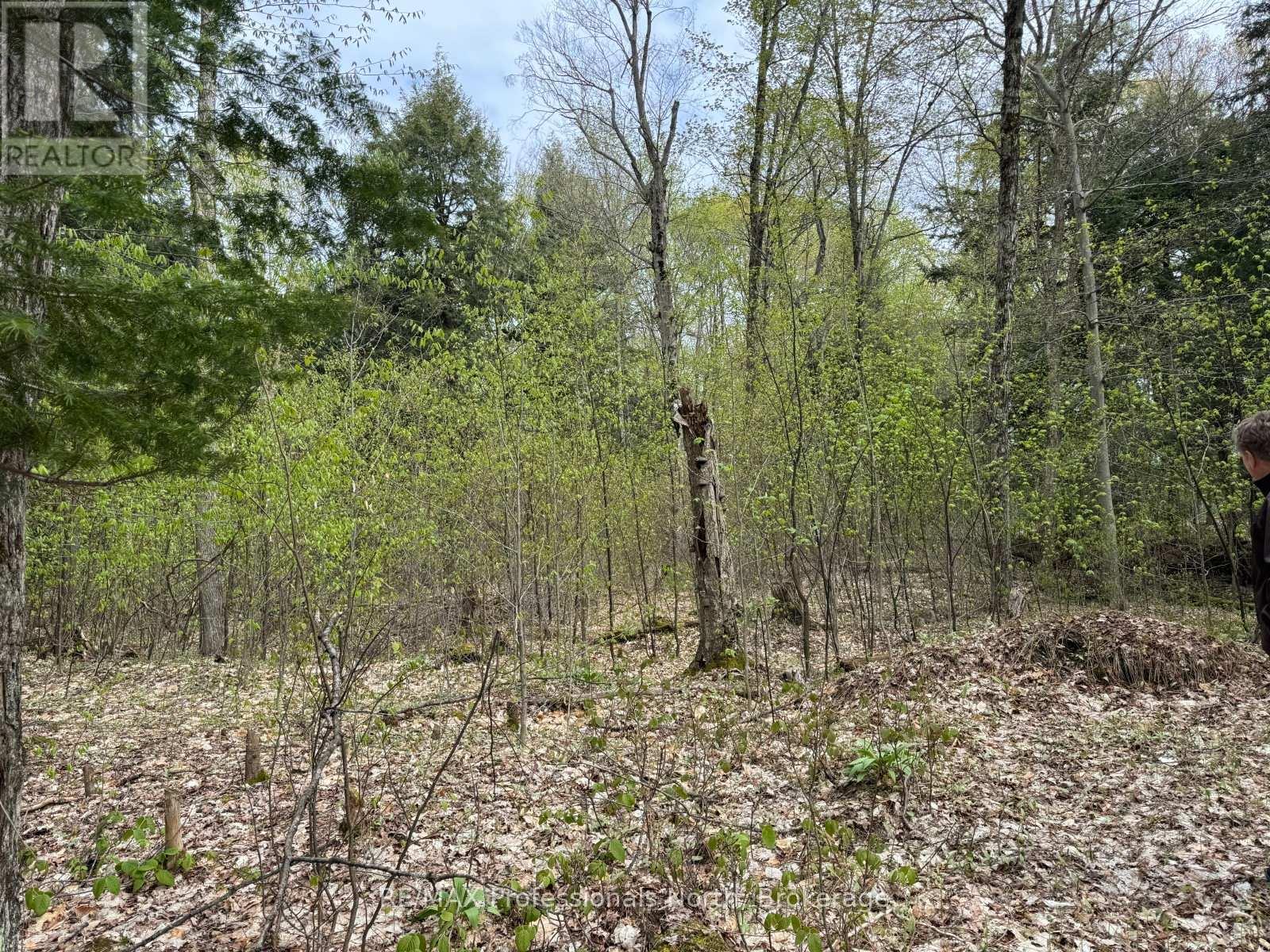 LOT 165 GLEN LAKE COURT — photo 17