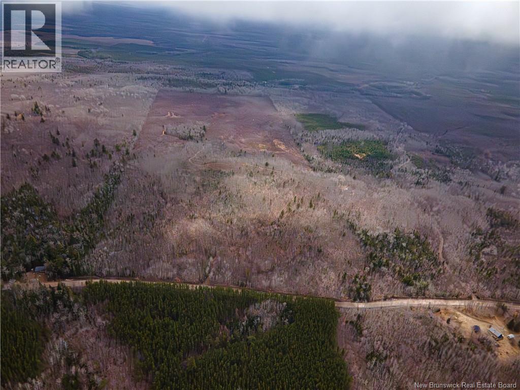 Lot 1 South Canaan Road — photo 10