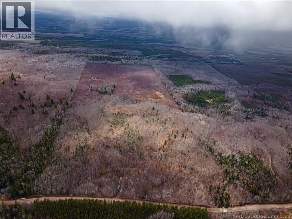 Lot 1 South Canaan Road — photo 11