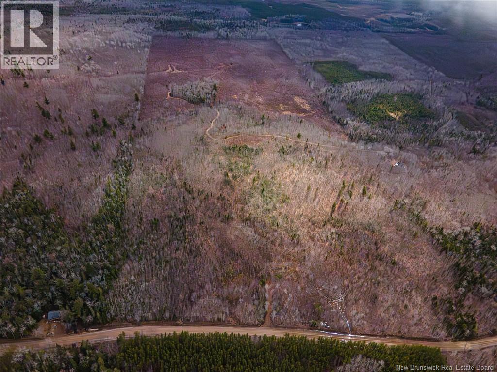 Lot 1 South Canaan Road — photo 12