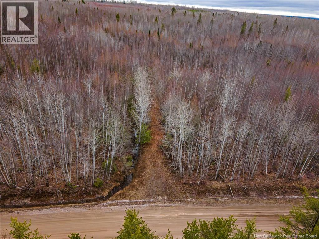 Lot 1 South Canaan Road — photo 2
