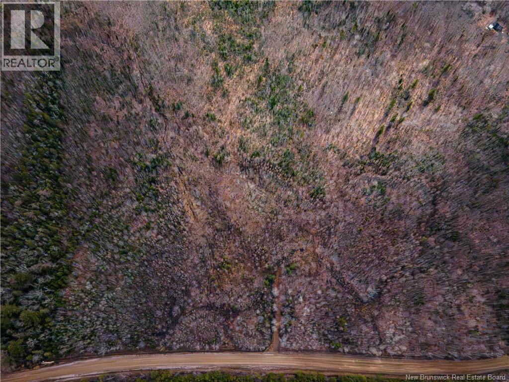 Lot 1 South Canaan Road — photo 3