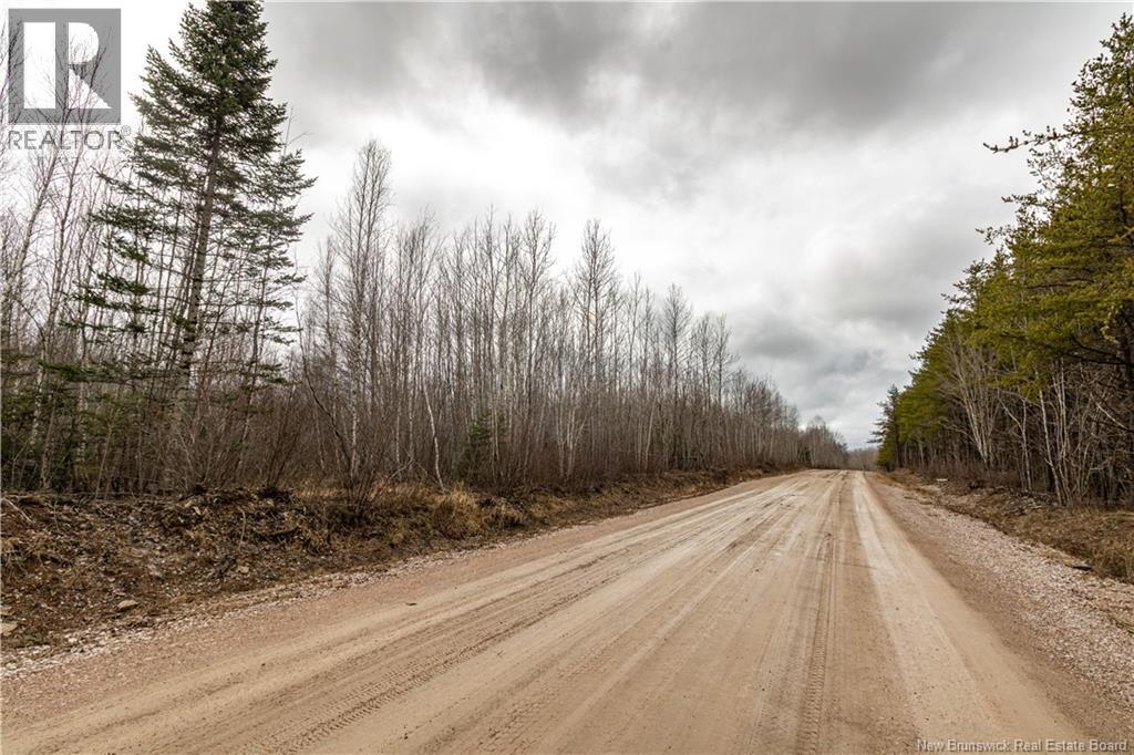 Lot 1 South Canaan Road — photo 4