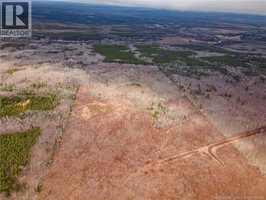 Lot 1 South Canaan Road — photo 6