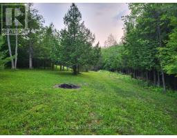 81 Silver Heights Drive, Trent Hills, ON K0L1Y0 Photo 21