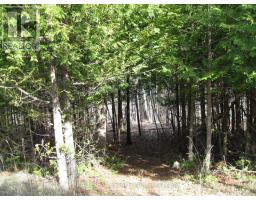 81 Silver Heights Drive, Trent Hills, ON K0L1Y0 Photo 18