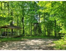 81 Silver Heights Drive, Trent Hills, ON K0L1Y0 Photo 16